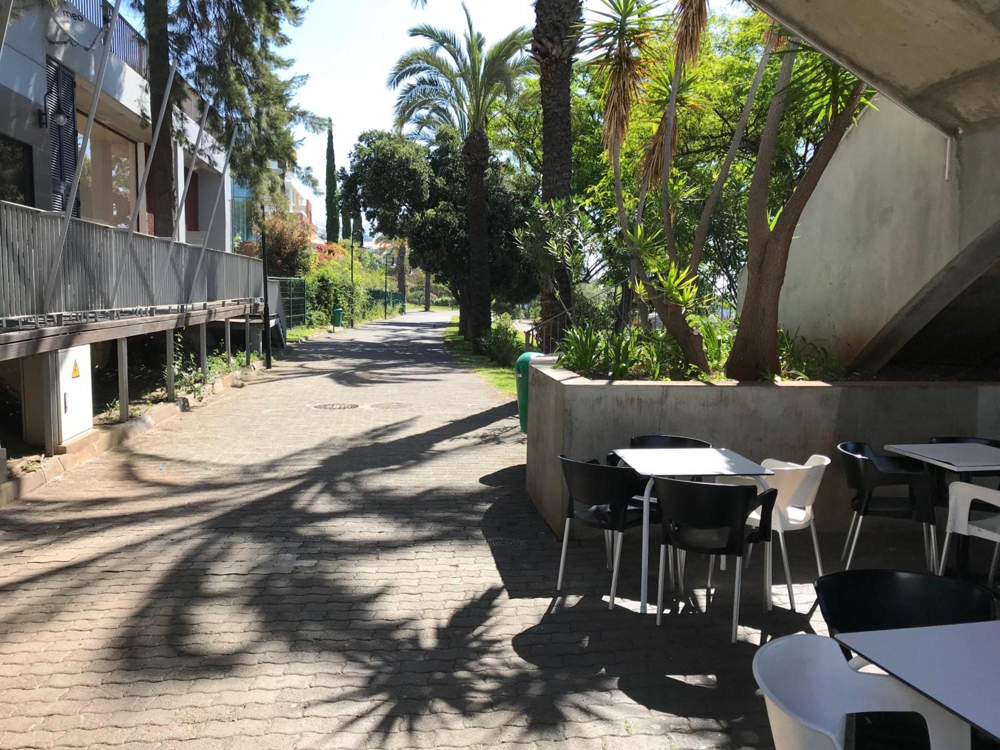 Apartamentos Do Mar Funchal Eksteriør billede