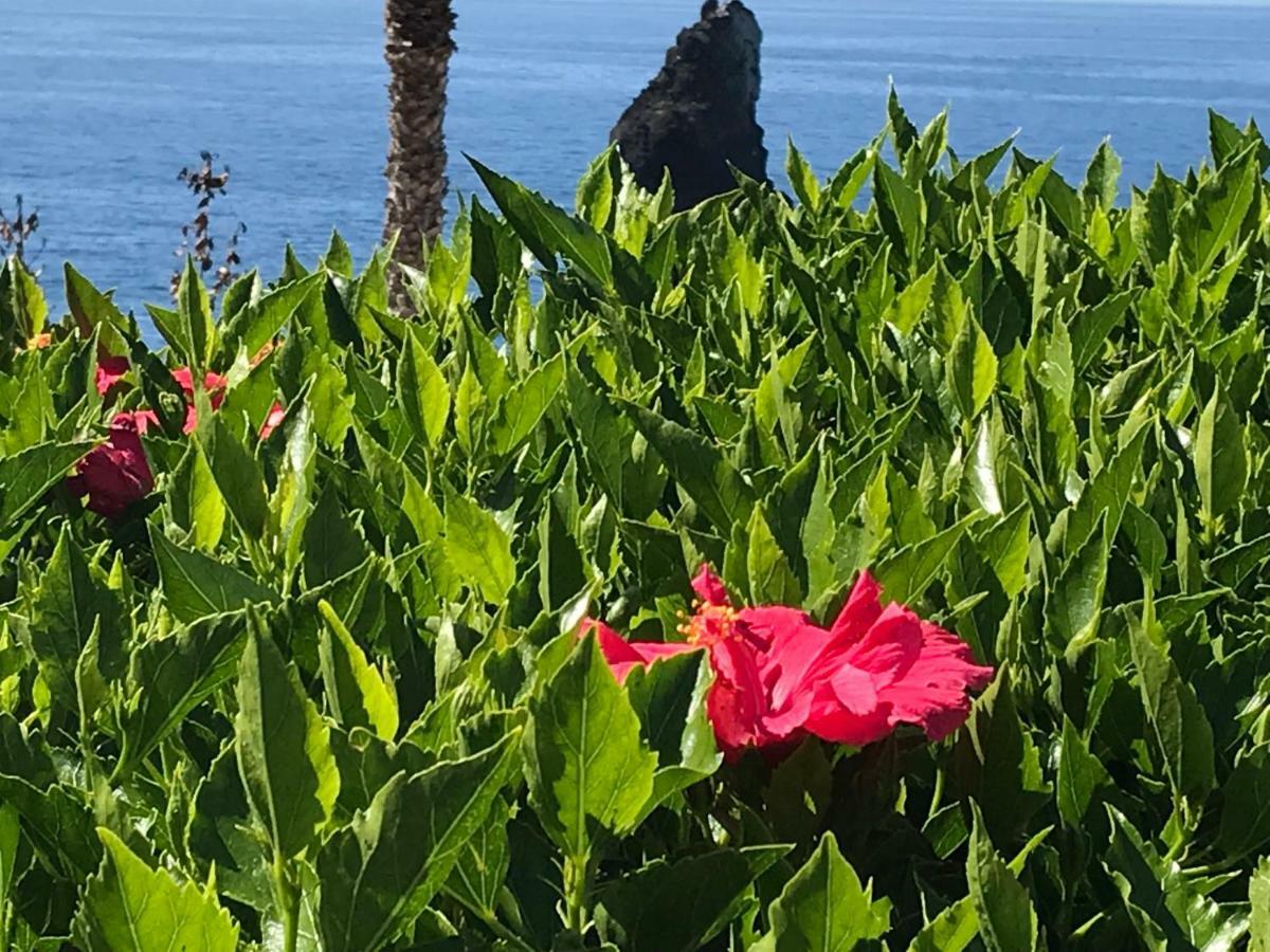 Apartamentos Do Mar Funchal Eksteriør billede